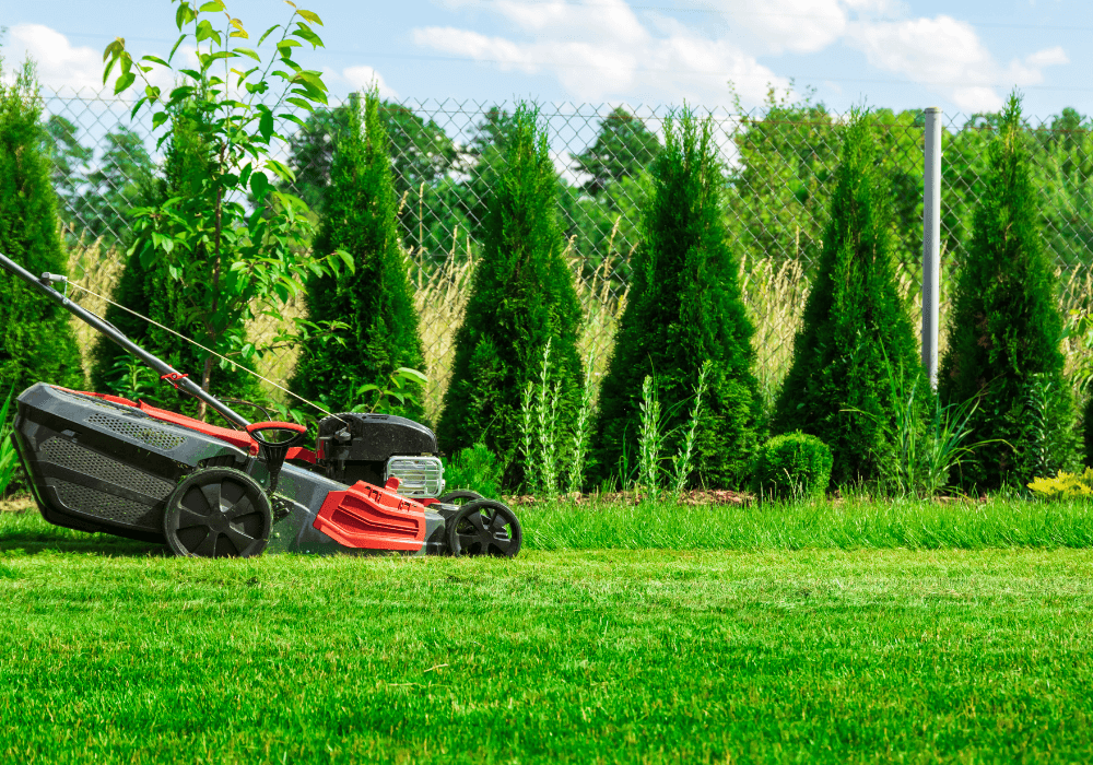 Landscaping & Tree Service